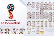 国际羽毛球公开赛中国选手在决赛中以韧性夺冠（317 ）
