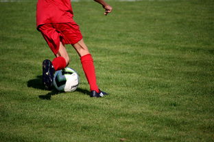 爱游戏娱乐网址-篮球运动员心理素质测评体系构建，篮球运动员心理素质的重要性