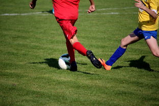 AYX体育官网-国家队引入国际先进的青少年训练理念 和战术体系，中国青少年国家队